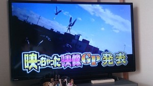 フジテレビ 映っちゃった映像gp のレベルが低い件について テレビリサーチドットコム